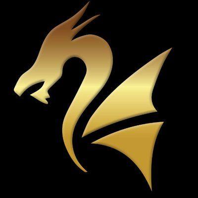 Orange and Black Dragon Logo - Black Dragon Gold (@BlackDragon_Oro) | Twitter