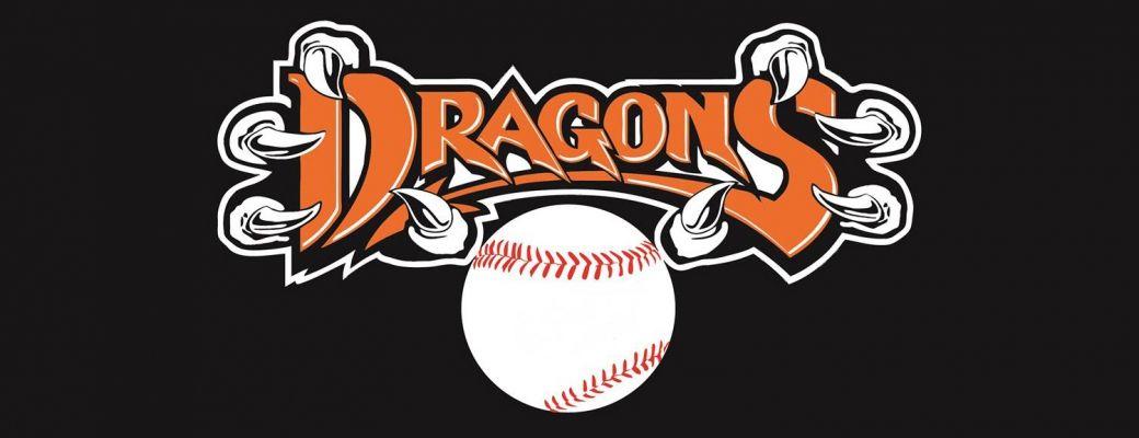 Orange and Black Dragon Logo - PP 10 - Black - Springfield Dragons | Springfield Dragons