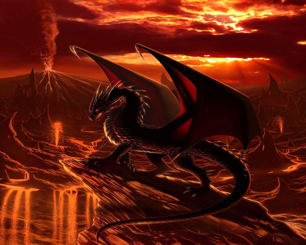 Orange and Black Dragon Logo - Lava Dark Orange Black Dragon. Dragons. Dragon