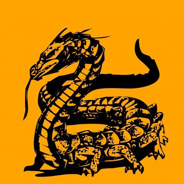 Orange and Black Dragon Logo - Black Dragon Free Stock Photo - Public Domain Pictures