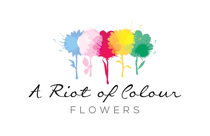 Colour Logo - About – A Riot of Colour