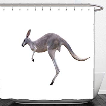 Kangaroo White Background with White Logo - Amazon.com: Beshowere Shower Curtain grey kangaroo jumping isolated ...