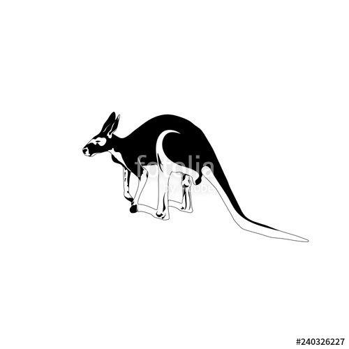 Kangaroo White Background with White Logo - vector kangaroo on white background. black and white animal