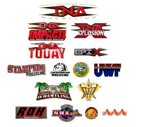 Cool Wrestling Logo - How To Create The Best Wrestling Promotion