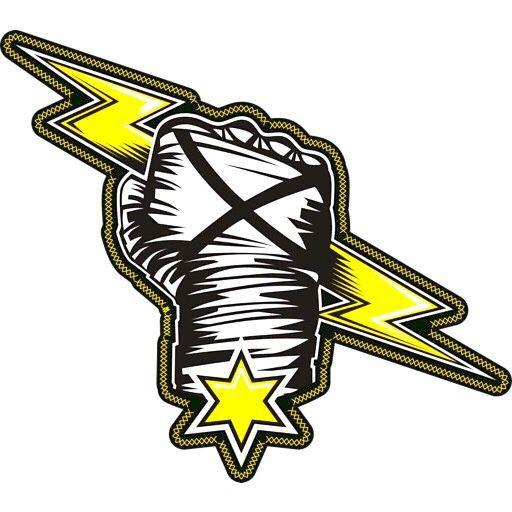Cool Wrestling Logo - CM Punk Misc. Logo (2013) | WWE Logos | CM Punk, Punk, WWE