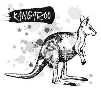 Kangaroo White Background with White Logo - Hand drawn sketch style kangaroo. Vector illustration isolated