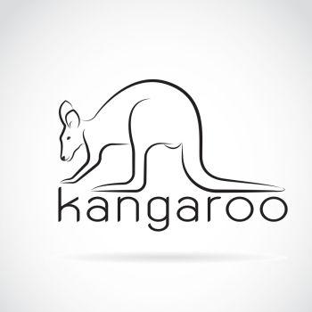 Kangaroo White Background with White Logo - You searched for kangaroo on a white background