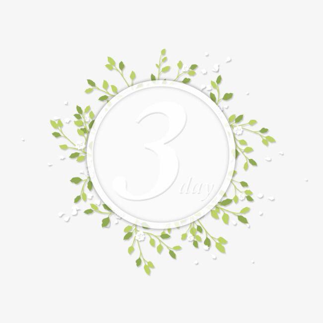 Olive Leaf Logo - Olive Leaf Material, Green, Plant, Circles PNG and PSD File for Free
