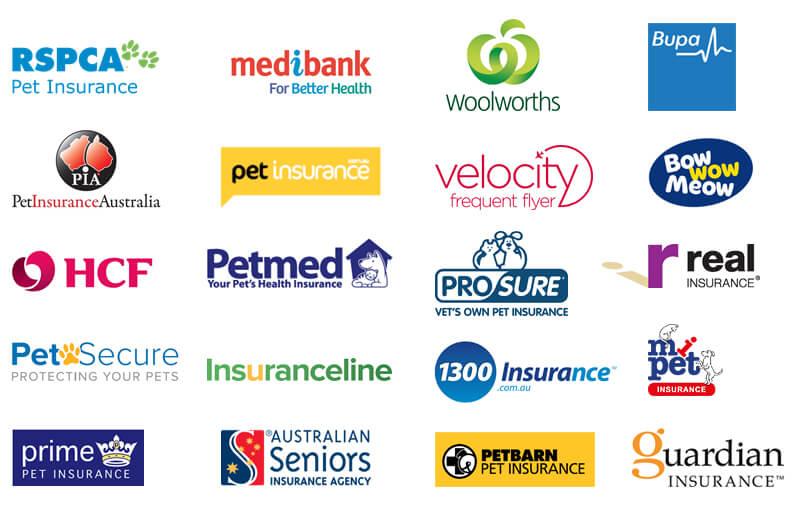 Australian Brand Logo - Pet Insurance Administrator (Australia) PTY LTD