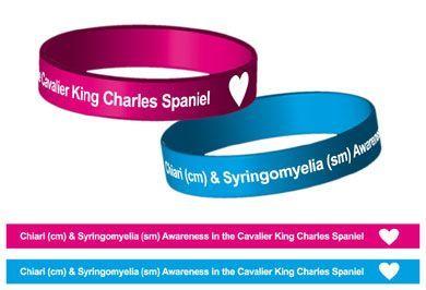 Pink Cavalier Logo - Syringomyelia Awareness Band Pink Blue Cavaliers