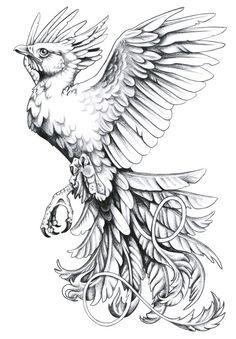 Phoenix Bird Drawing Logo - 207 Best phoenix images | Drawings, Drawing Techniques, Animal logo