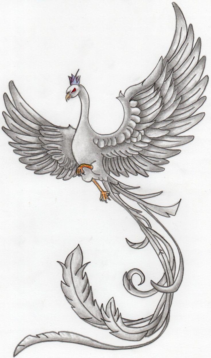 10 Drawings Of A Phoenix Bird  Phoenix tattoo Phoenix drawing Bird line  drawing