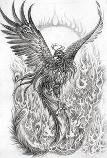 Phoenix Bird Drawing Logo - realistic phoenix bird drawings - Google Search | Phoenix ...