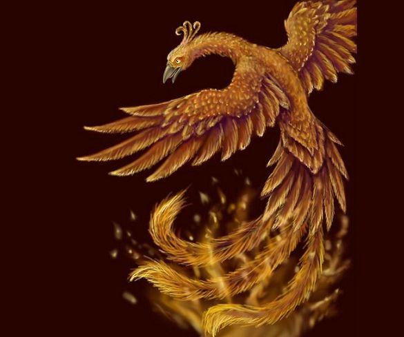 Phoenix Bird Drawing Logo - LogoDix