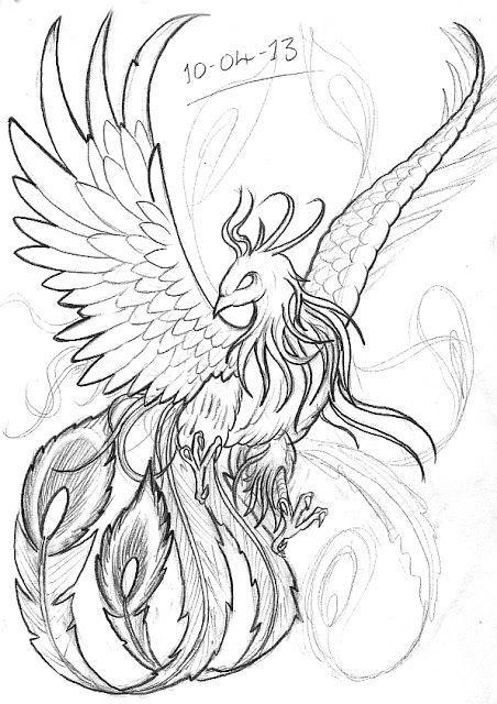 Phoenix Bird Drawing Logo - realistic phoenix bird drawings - Google Search | Adult Coloring ...