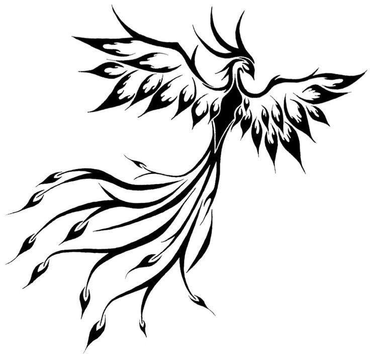 Phoenix Bird Drawing Logo - phoenix bird drawing - Under.fontanacountryinn.com