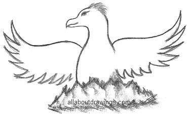 Phoenix Bird Drawing Logo - Drawings of The Phoenix Bird