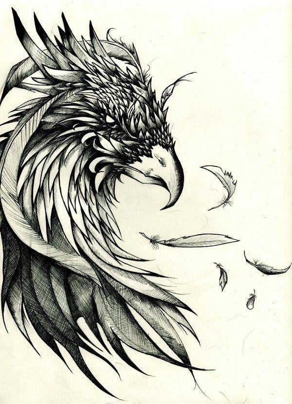 Phoenix Bird Drawing Logo - 14 Phoenix drawing for free download on Ayoqq.org
