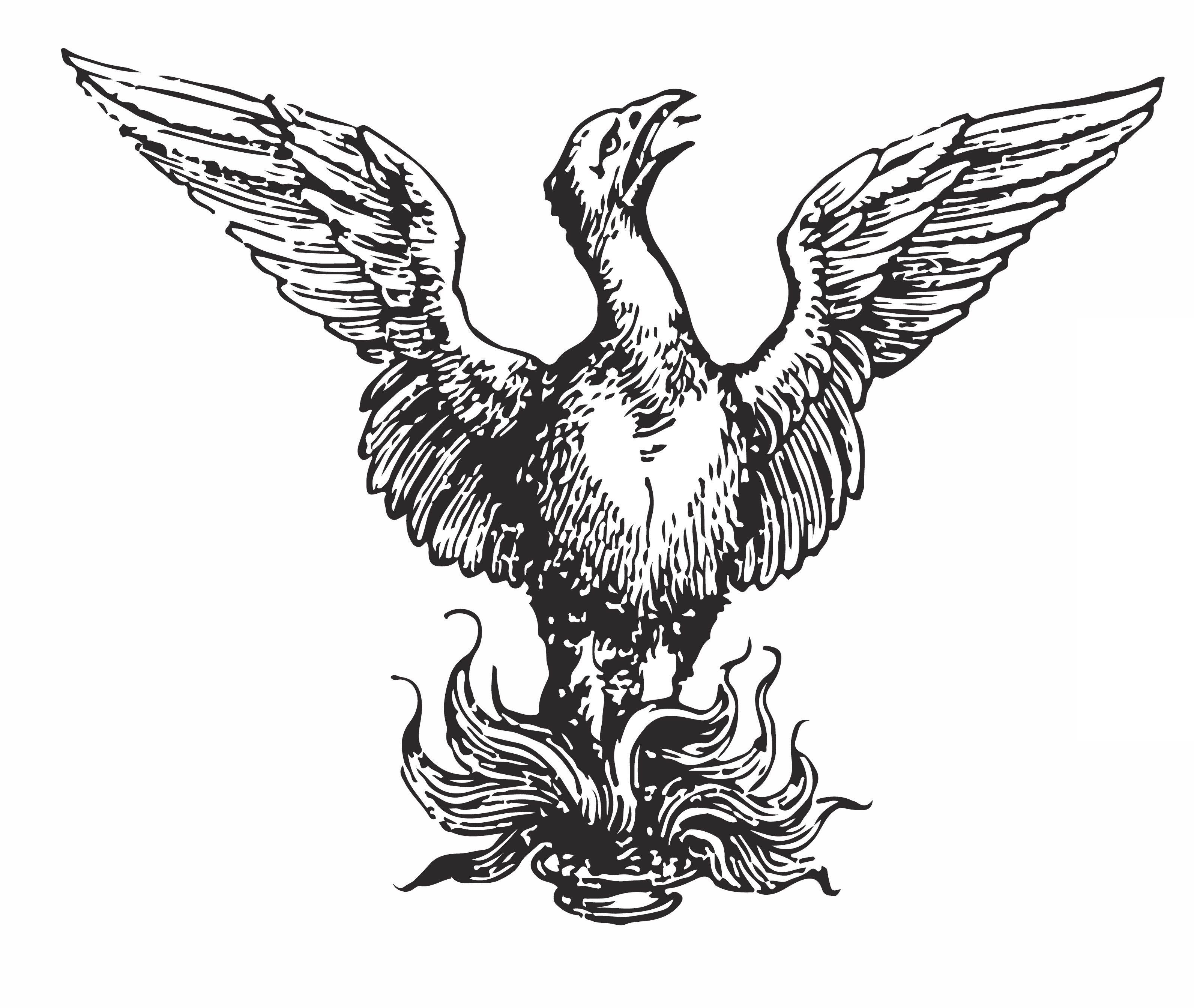 Phoenix Bird Drawing Logo - Download the Phoenix Logo | Society for Renaissance Studies