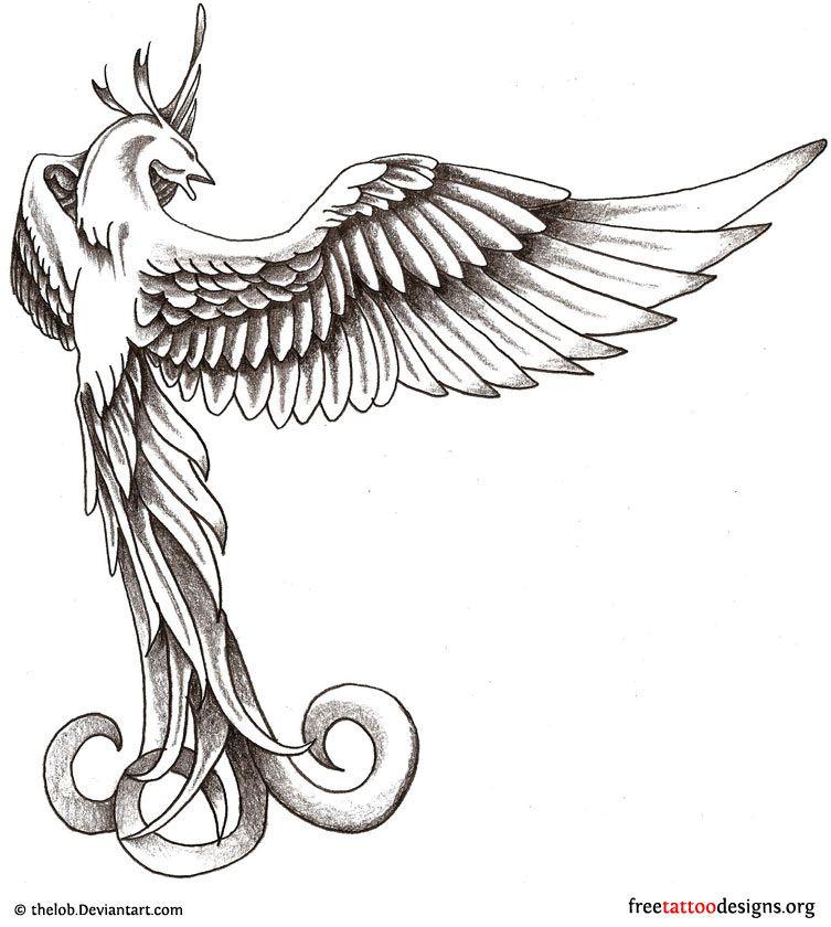 Phoenix Bird Drawing Logo - Phoenix Tattoos | 75 Cool Designs