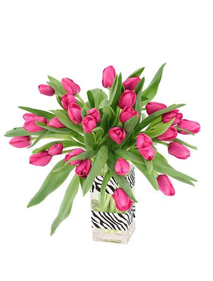 Pink Cavalier Logo - Hot Pink Passion Tulip Arrangement in Cavalier, ND - MAIN STREET ...