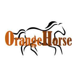 Orange Horse Logo - Orange Horse – Welfare via Education