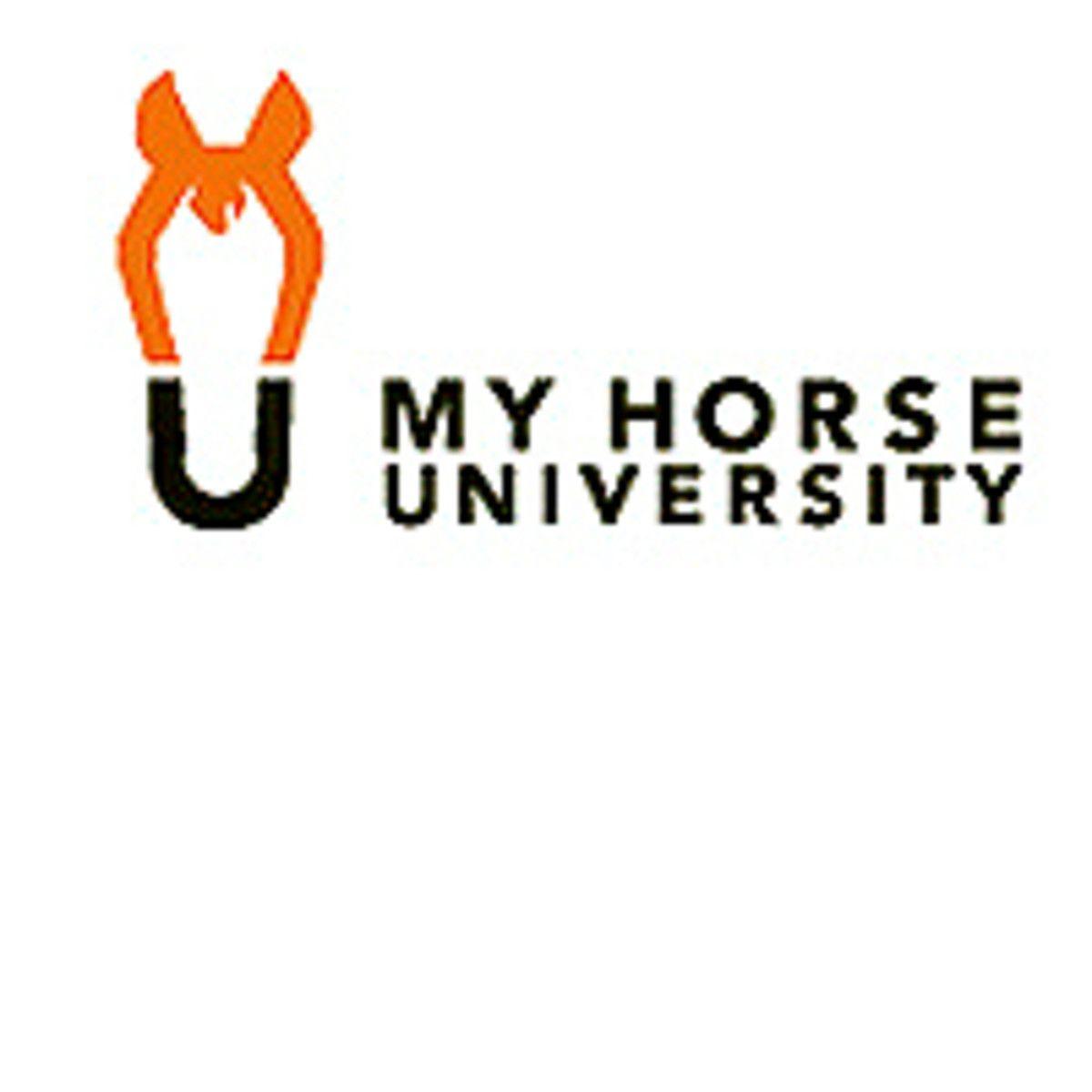 Orange Horse Logo - Webinar: Reducing Risks on the Horse Farm - Expert advice on horse ...
