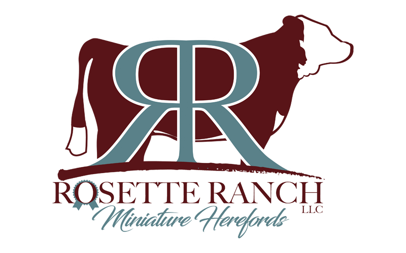 Ranch Logo - Logo Design - Ranch House Designs - Cattle, Livestock, Agriculture