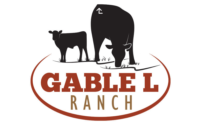 Ranch Logo - Logo Design - Ranch House Designs - Cattle, Livestock, Agriculture