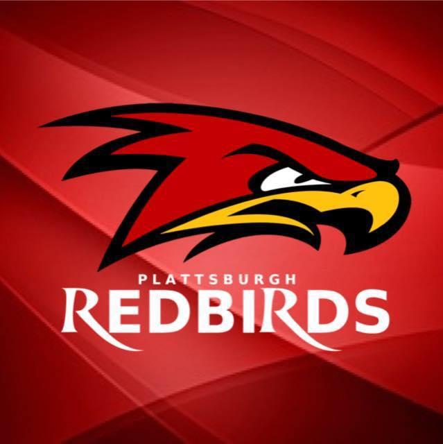 Red Bird Team Logo - Plattsburgh RedBirds Co-Owner Discusses New Professional Baseball ...