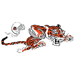 Bengal Tiger Logo - Cincinnati Bengals Primary Logo | Sports Logo History
