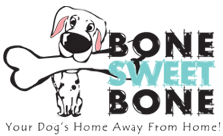 Bone Dog Logo - Doggie, Pet Daycare Woodland Hills, DTLA & Silver Lake. Pet Shop