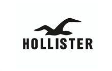 Logo Brand Hollister Co. Font Line, 30 seconds to mars logo, text, logo png