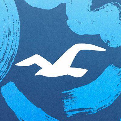 Hollister Co Logo - Hollister Co. (@HollisterCo) | Twitter