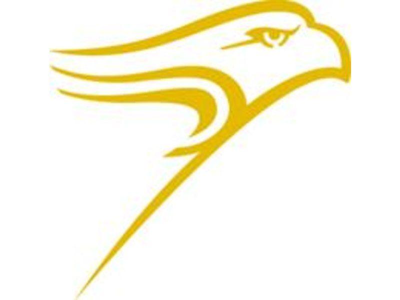South Hawk Logo - REUNION: Council Rock High School South Class of 2009 | Northampton ...