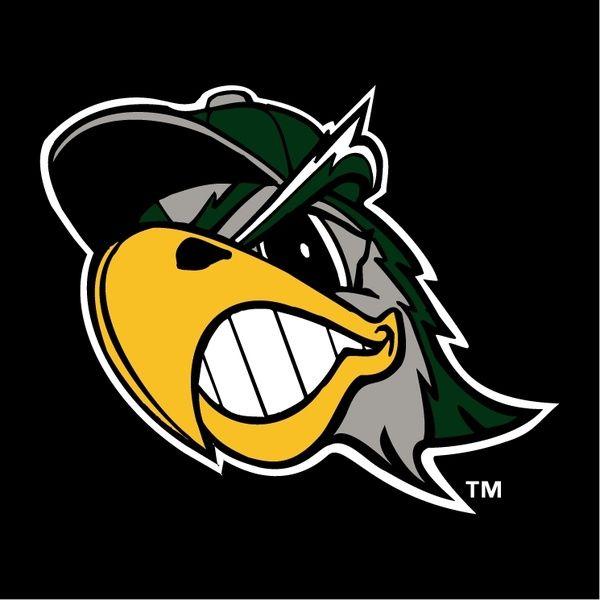 South Hawk Logo - South bend silver hawks 1 Free vector in Encapsulated PostScript eps