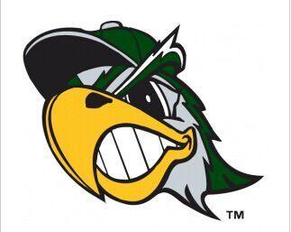 South Hawk Logo - South Bend Silver Hawks Alternate Logo. Baseball Iron Ons. Logos