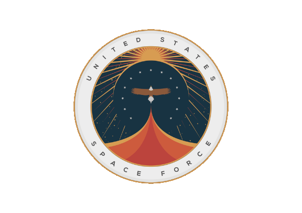 Space Force Logo - Remember Trump's proposed 'Space Force' logo?. New classic advertising