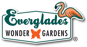 Everglades Logo - Visit One Of Old Florida's Cultural Icons.