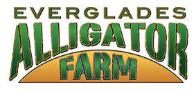 Everglades Logo - Everglades Alligator Farm :Home