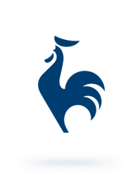 Blue Rooster in Triangle Logo - le coq sportif, sports shoes, clothing and accessories since 1882