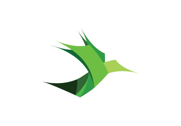 Green Bird Logo - Bird Logo on Wacom Gallery