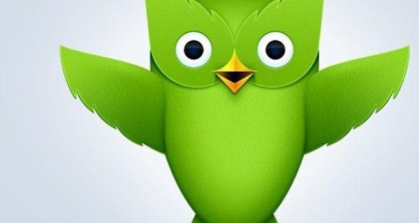 Green Bird Logo - Duolingo