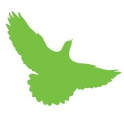 Green Bird Logo - Working at Green Bird Media | Glassdoor.co.uk