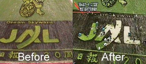 Old Jal Logo - JAL logo uprooted from rice paddy art Pink Tentacle