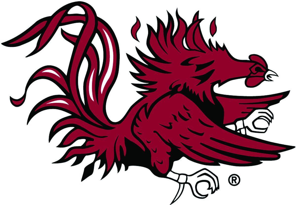 Red Bird College Logo - Steve Percy - Academic Magnet High School