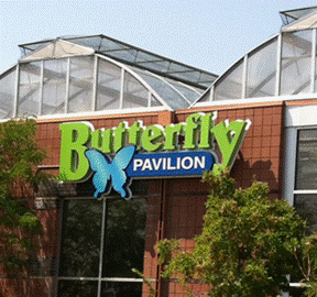 Butterfly Pavilion Logo - Butterfly Pavilion & Coupon Offers
