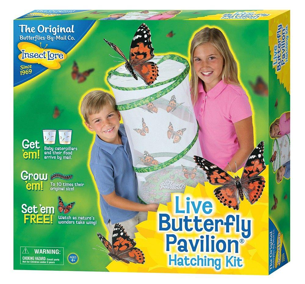Butterfly Pavilion Logo - Butterfly Pavilion with 6-10 LIVE Caterpillars | Insect Lore
