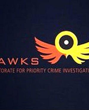 Blue Hawk Promotion Logo - Promotion for Western Cape Hawks head | News24
