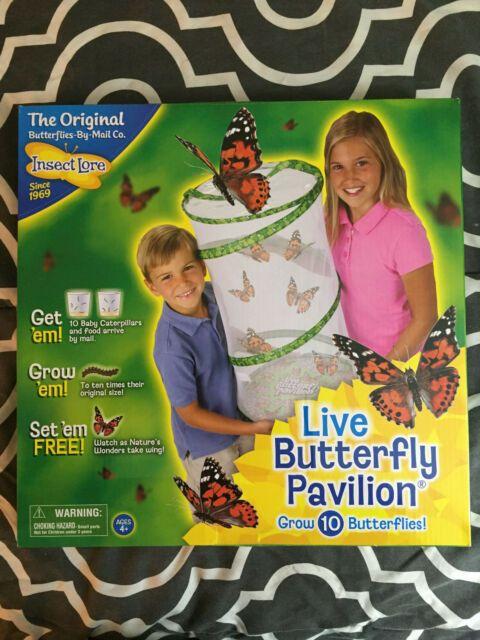 Butterfly Pavilion Logo - Insect Lore Live Butterfly Pavilion - #1885 | eBay